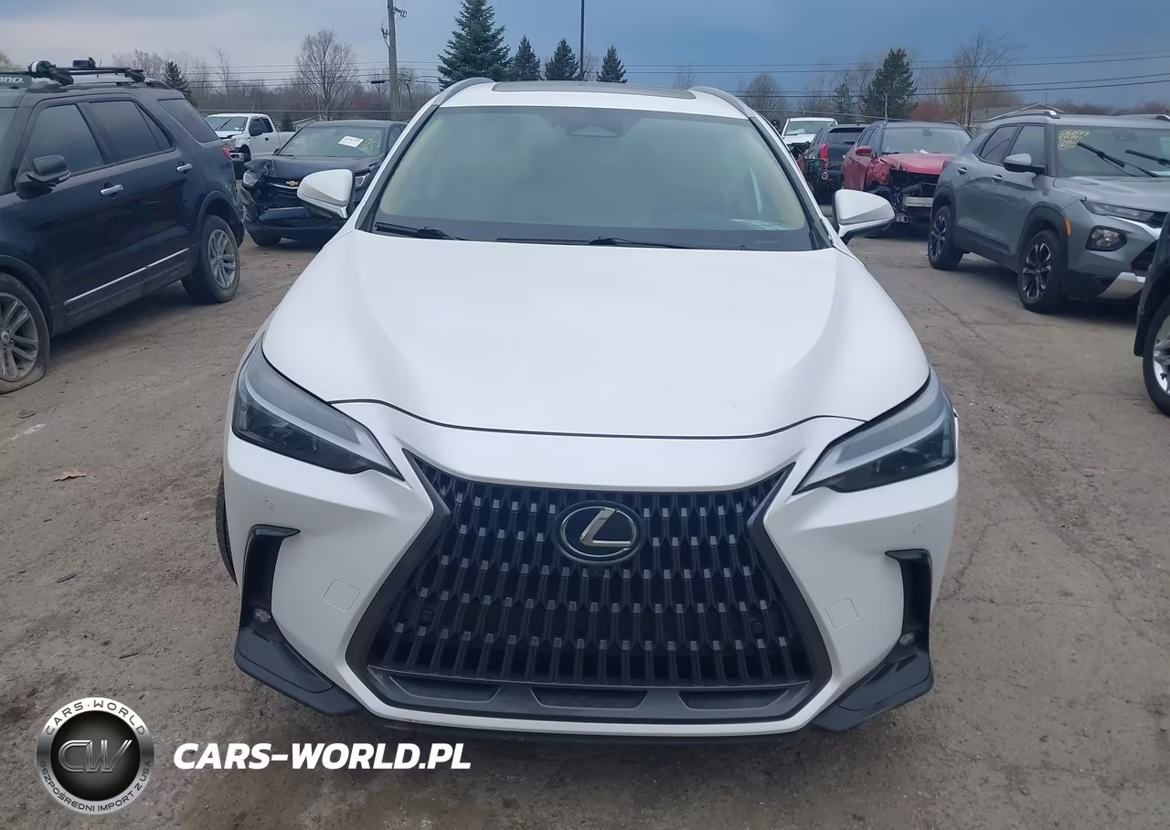 2025 Lexus Nx 350 Premium VIN:2T2GGCEZ2SC062734 - 12