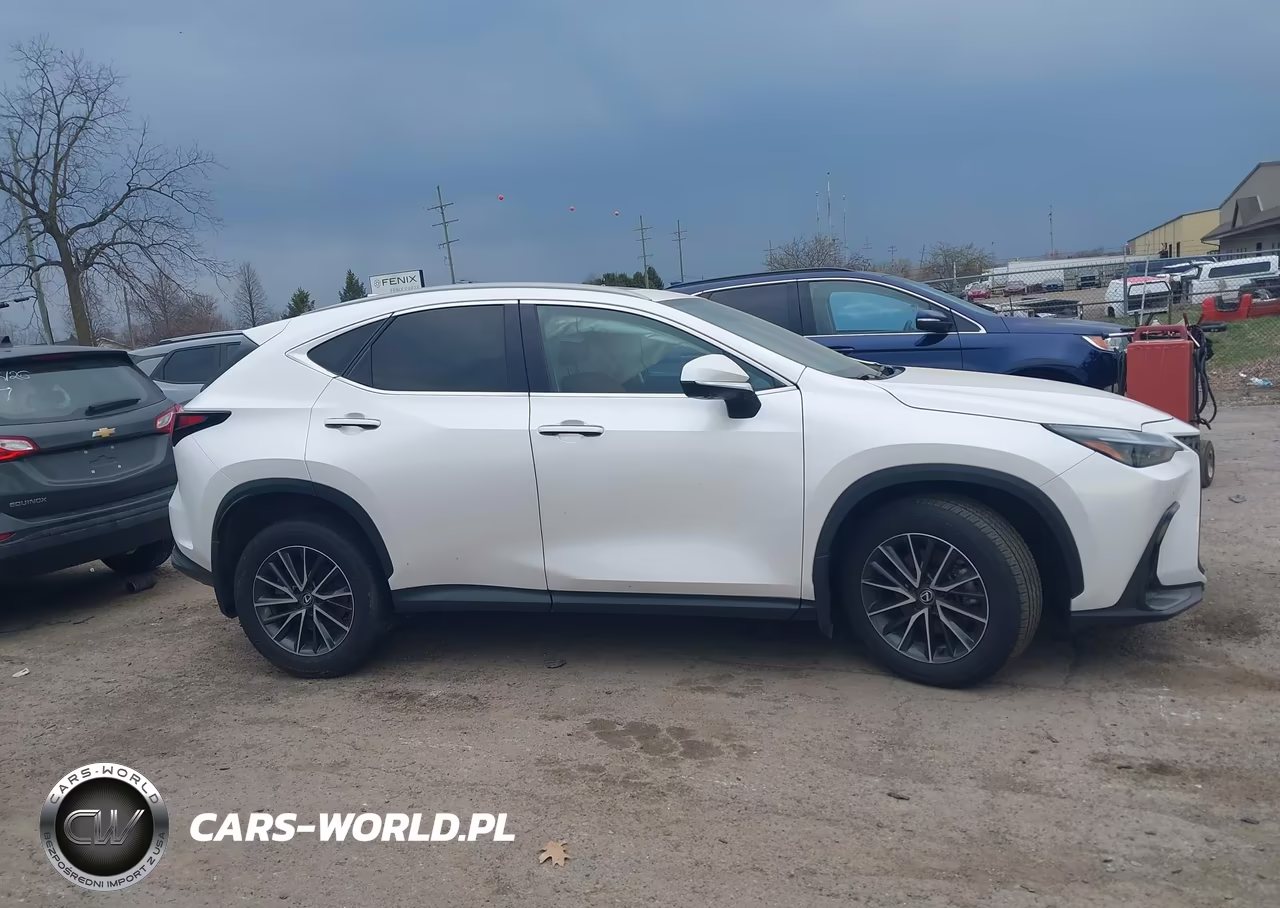 2025 Lexus Nx 350 Premium VIN:2T2GGCEZ2SC062734 - 13