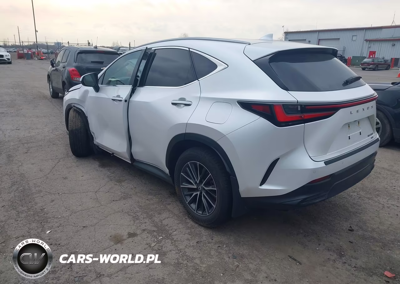 2025 Lexus Nx 350 Premium VIN:2T2GGCEZ2SC062734 - 3