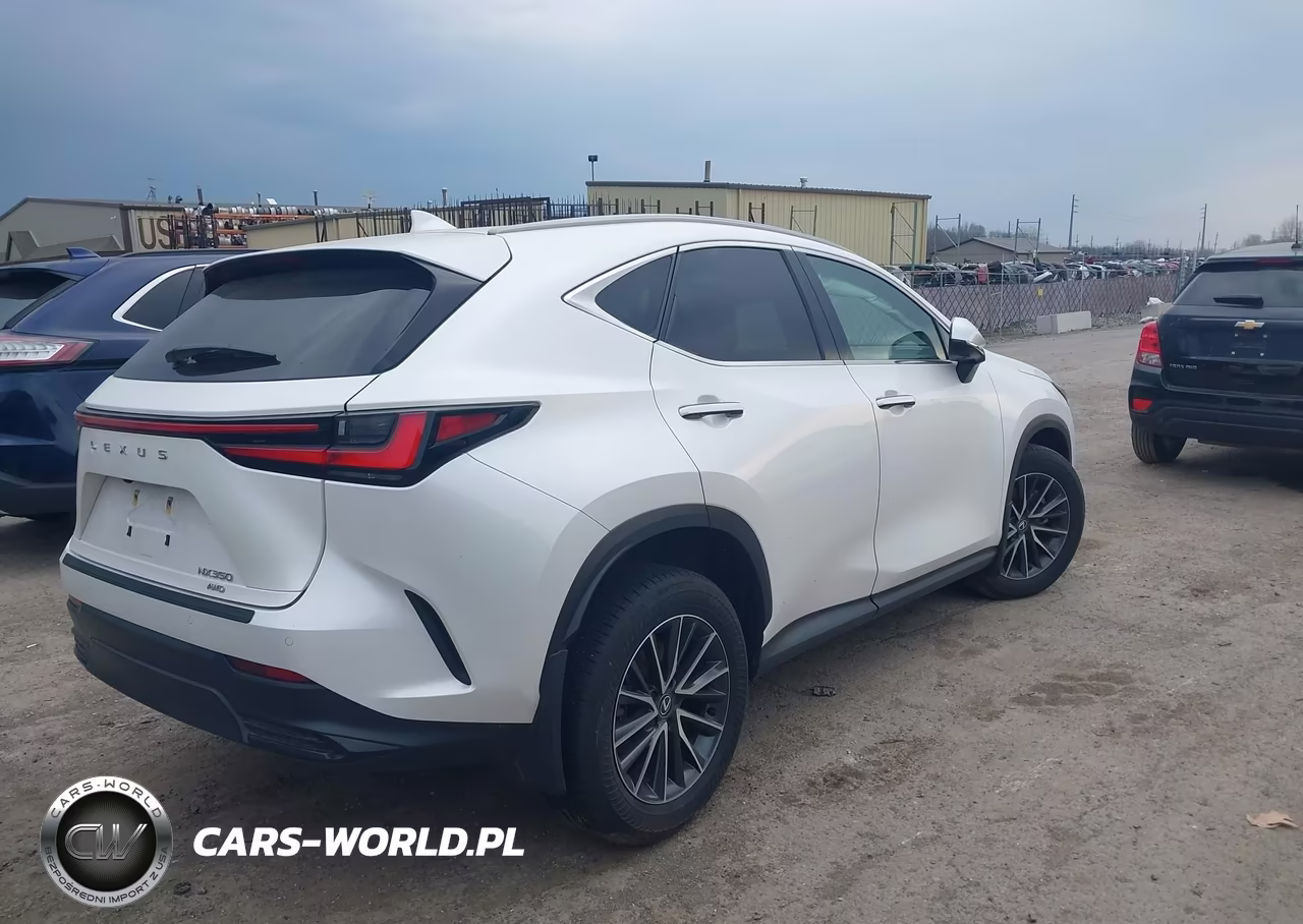 2025 Lexus Nx 350 Premium VIN:2T2GGCEZ2SC062734 - 4