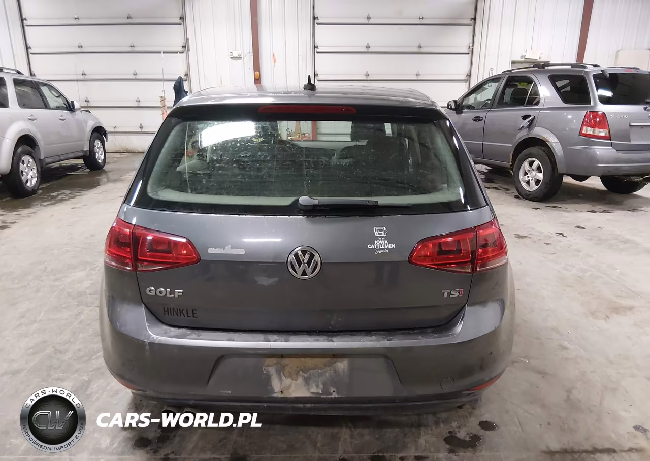 2015 Volkswagen Golf Tsi S 4-Door VIN:3VW217AU6FM010230 - 17