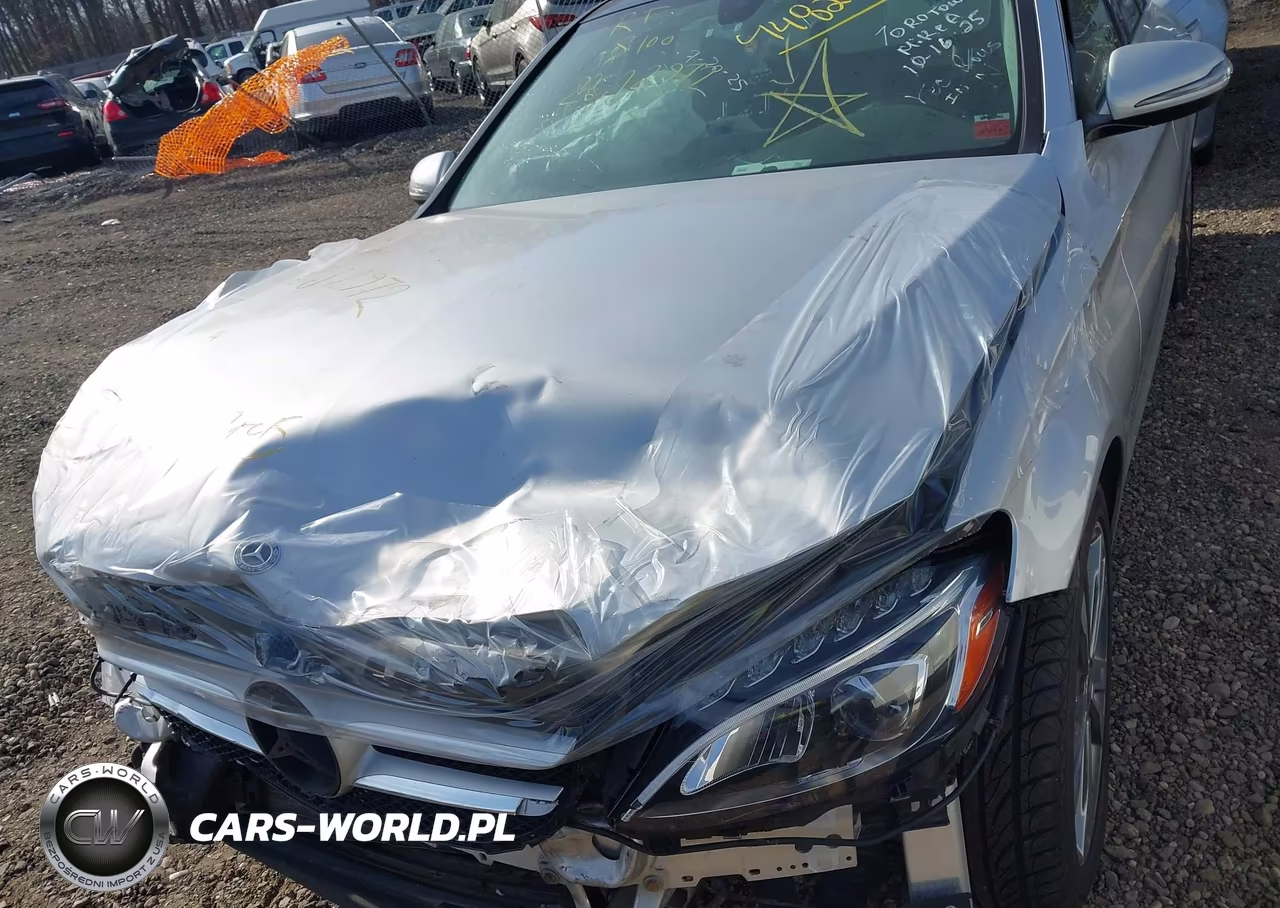 2018 Mercedes-Benz C 300 4Matic VIN:55SWF4KB4JU259882 - 10