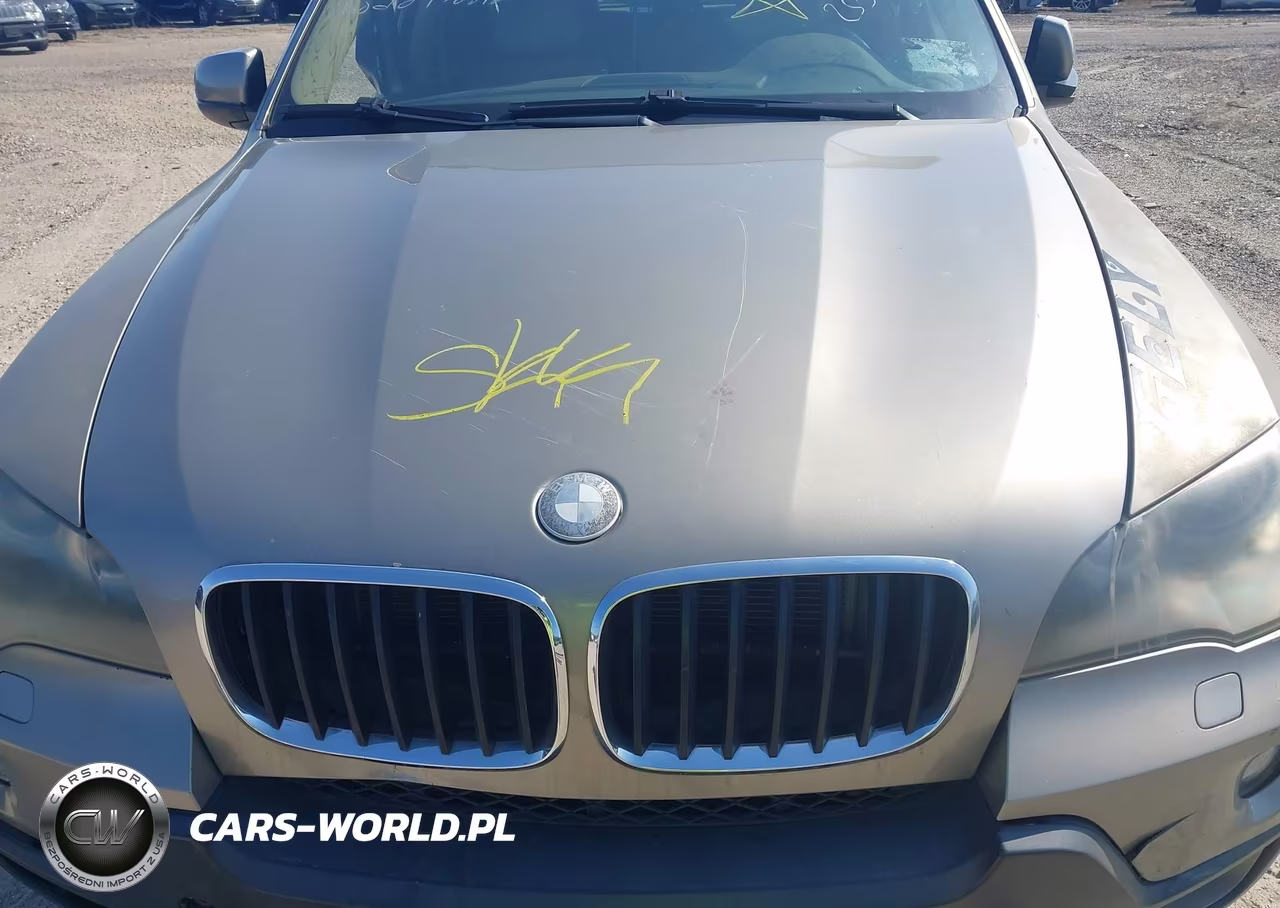 2009 BMW X5 xDrive30I VIN:5UXFE43559L267333 - 10