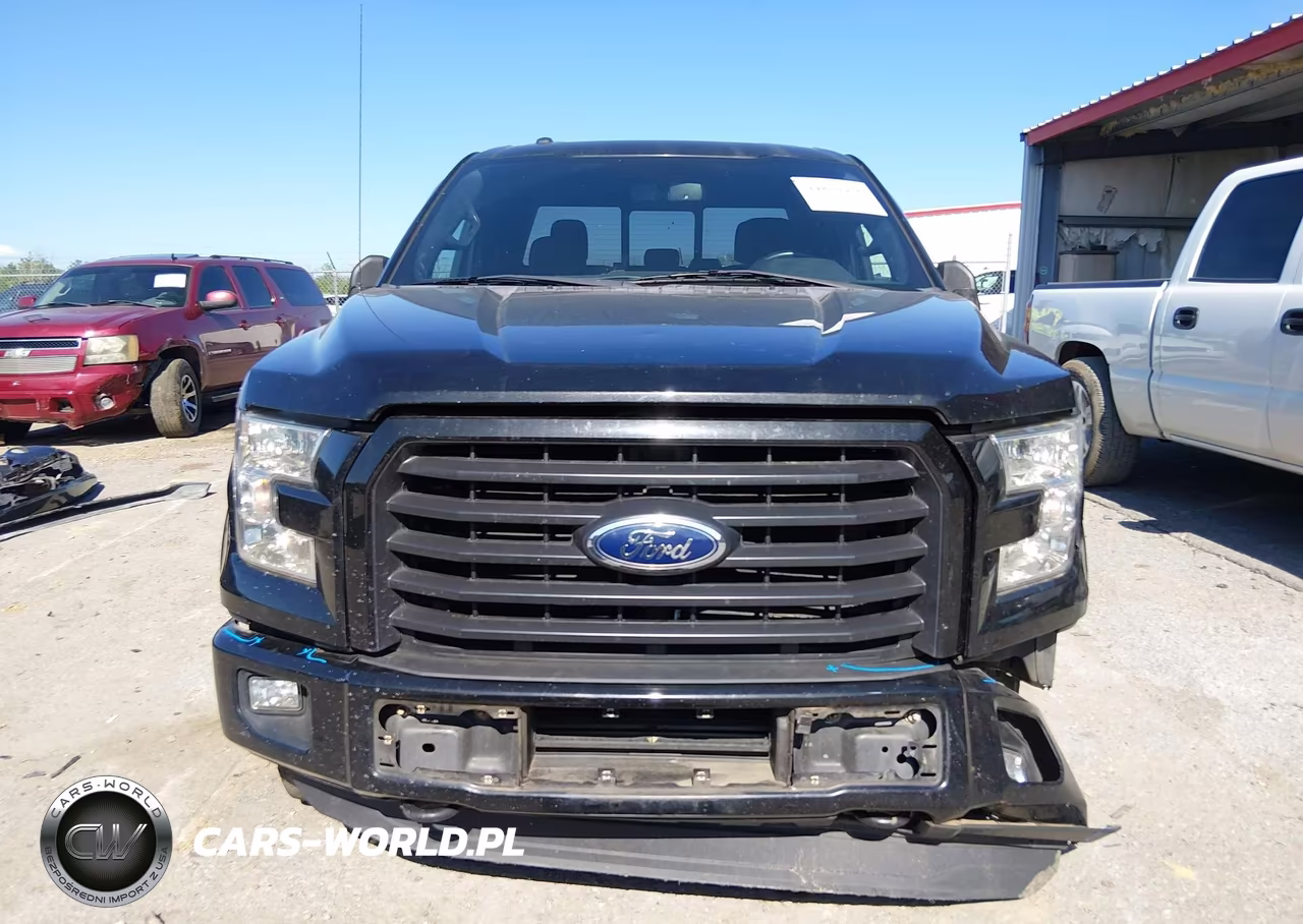2015 Ford F-150 Xlt VIN:1FTEX1EP8FFC68703 - 12