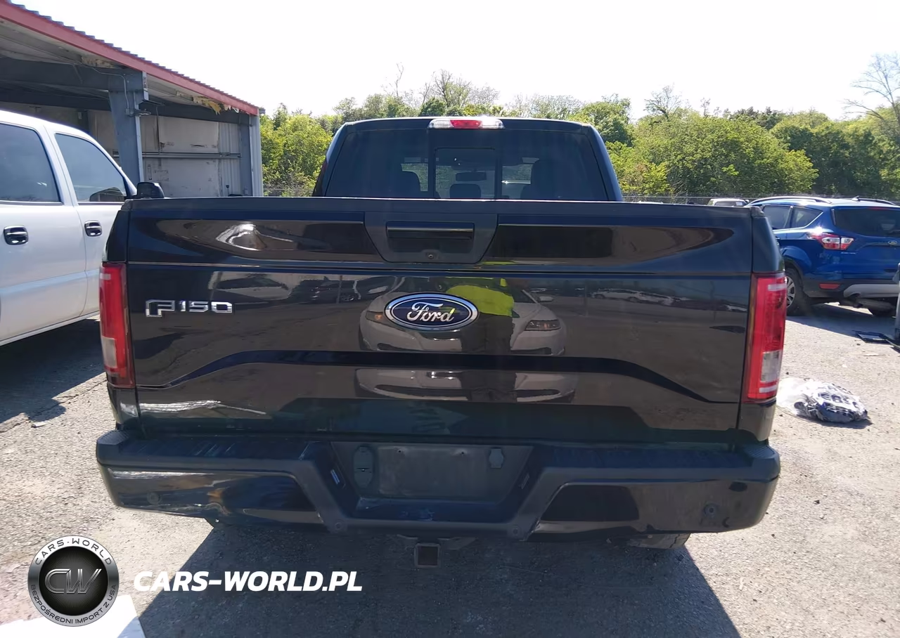 2015 Ford F-150 Xlt VIN:1FTEX1EP8FFC68703 - 16