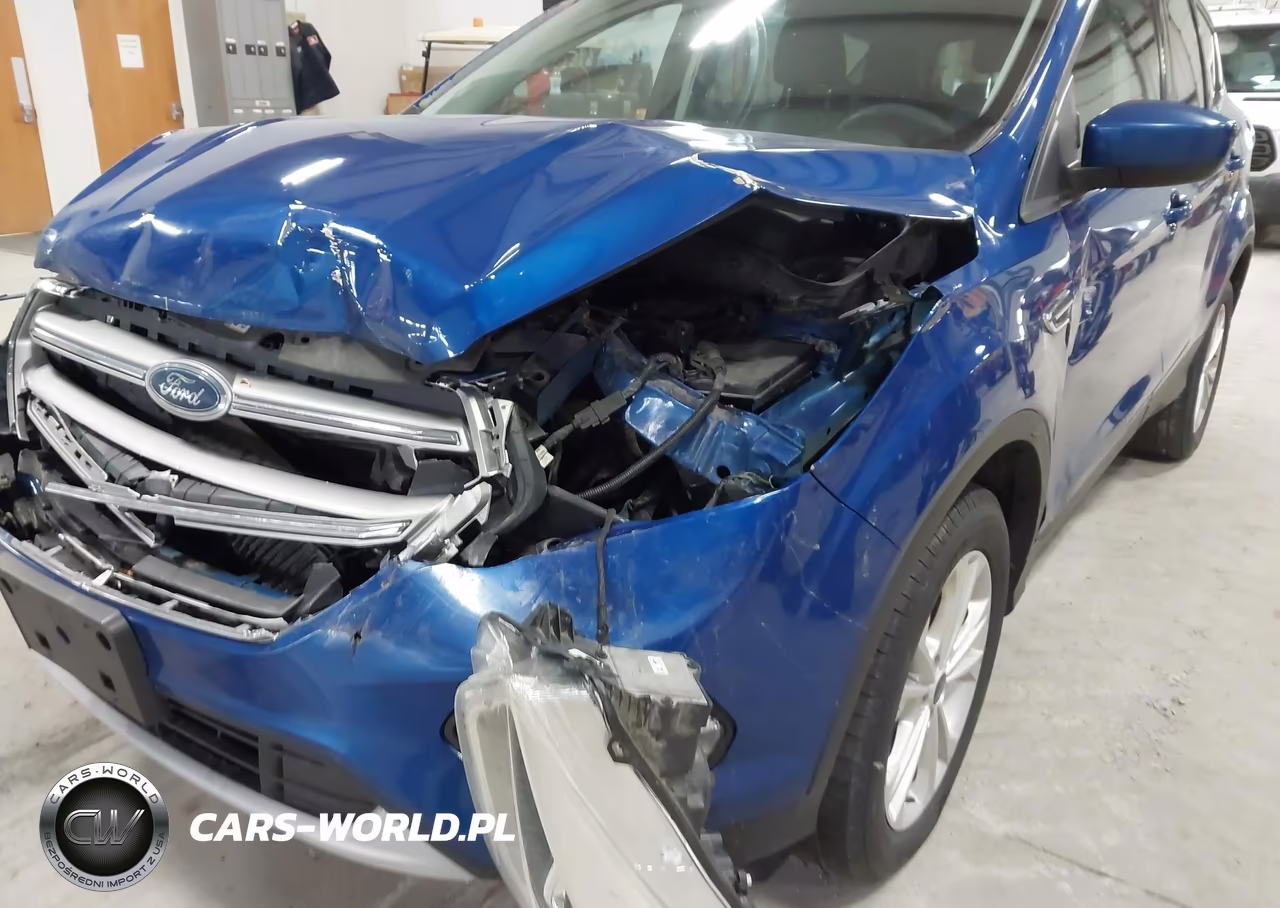 2017 Ford Escape Se VIN:1FMCU9G91HUE10526 - 19