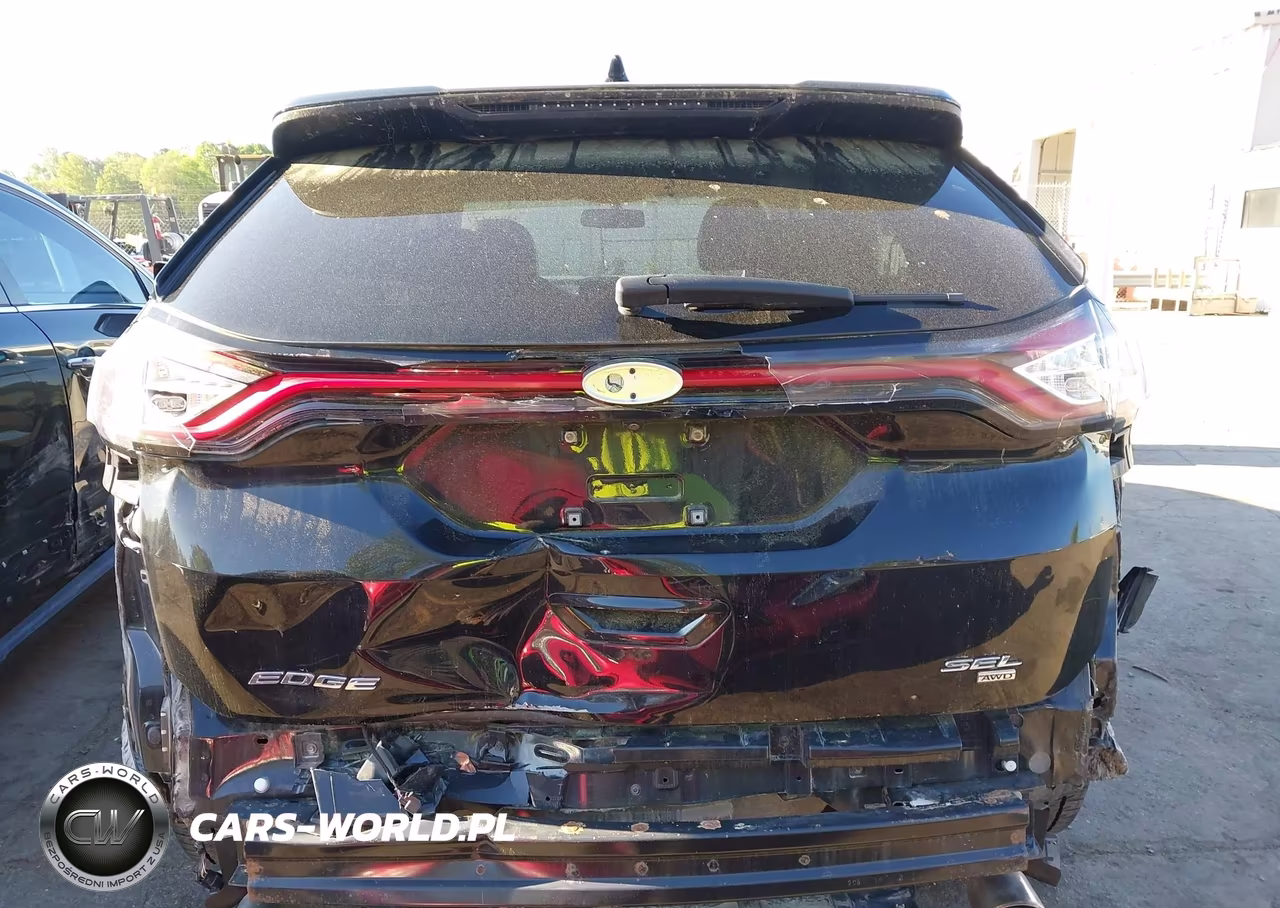 2018 FORD EDGE SEL VIN:2FMPK4J98JBC54726 - 16