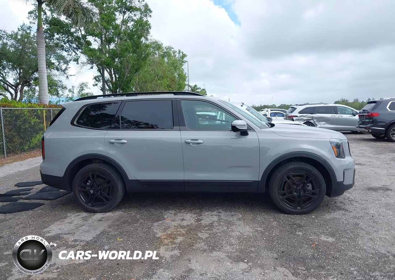 2025 Kia Telluride Sx Prestige X-Line VIN:5XYP5DGC0SG602949 - 13