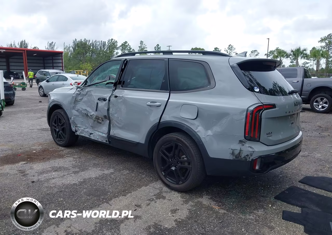 2025 Kia Telluride Sx Prestige X-Line VIN:5XYP5DGC0SG602949 - 3