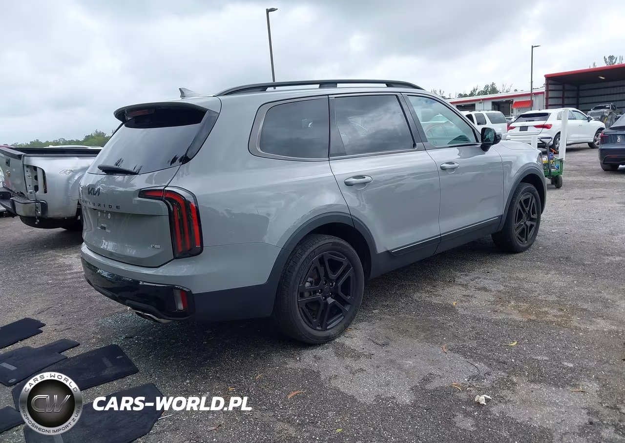 2025 Kia Telluride Sx Prestige X-Line VIN:5XYP5DGC0SG602949 - 4