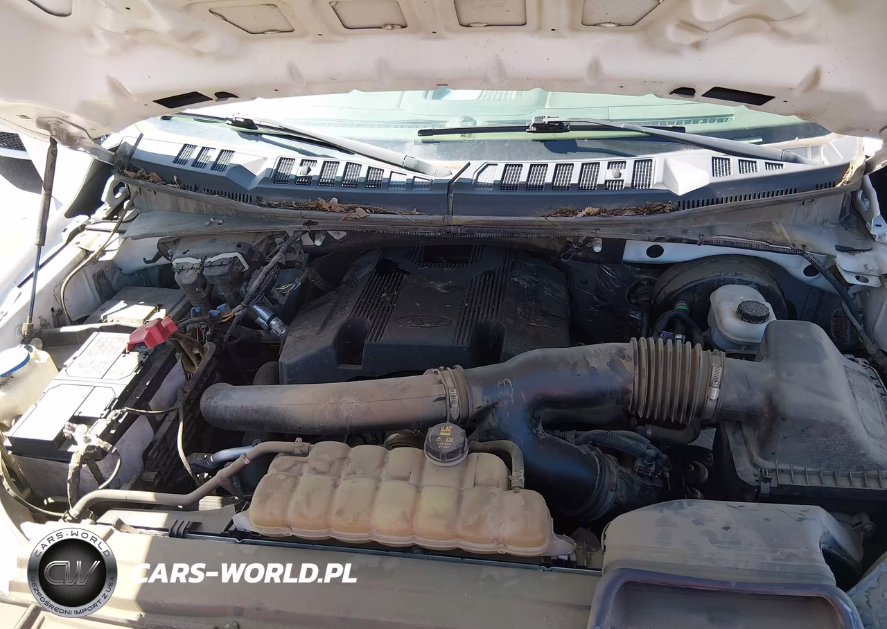 2019 Ford F-150 Xl VIN:1FTEX1C41KKD90877 - 10