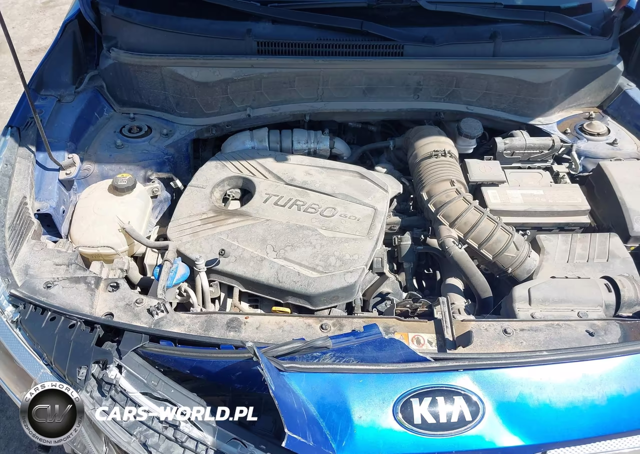 2021 Kia Seltos Sx Turbo VIN:KNDETCA22M7059370 - 10