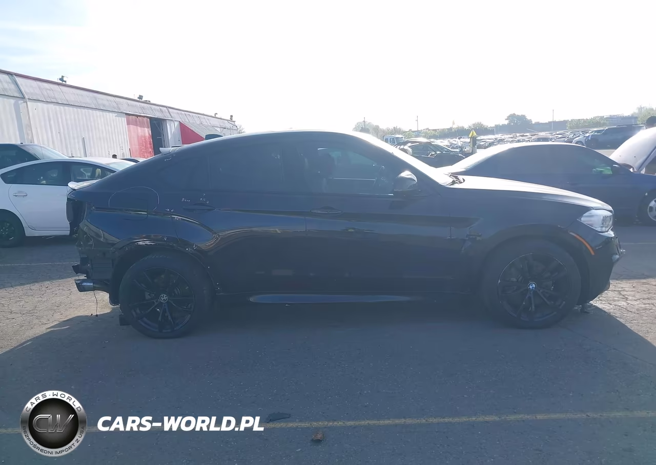 2017 BMW X6 xDrive50I VIN:5UXKU6C34H0W38414 - 13