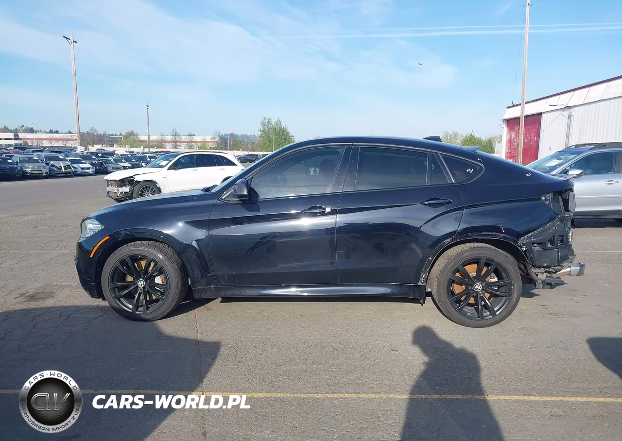 2017 BMW X6 xDrive50I VIN:5UXKU6C34H0W38414 - 14