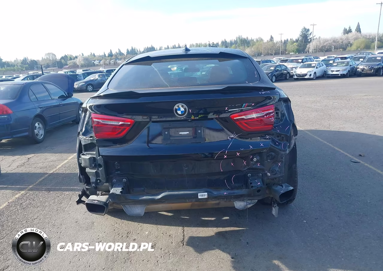 2017 BMW X6 xDrive50I VIN:5UXKU6C34H0W38414 - 16