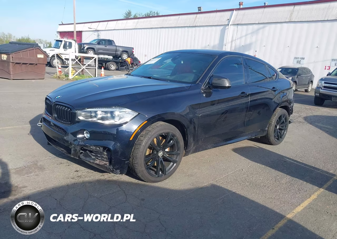 2017 BMW X6 xDrive50I VIN:5UXKU6C34H0W38414 - 2