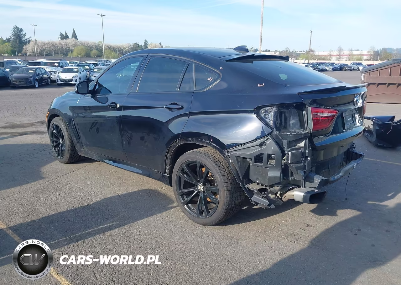 2017 BMW X6 xDrive50I VIN:5UXKU6C34H0W38414 - 3