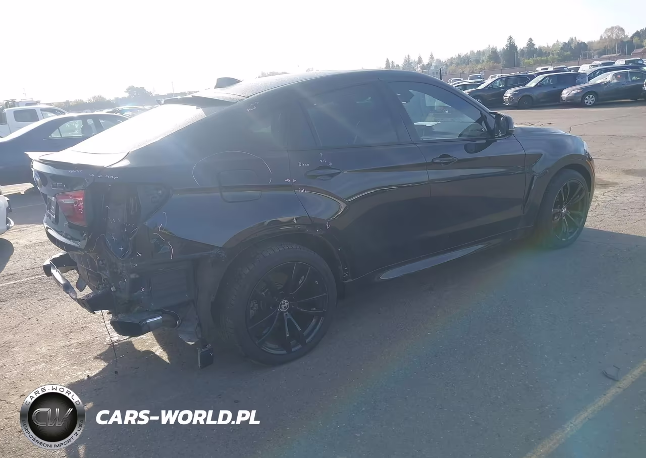 2017 BMW X6 xDrive50I VIN:5UXKU6C34H0W38414 - 4