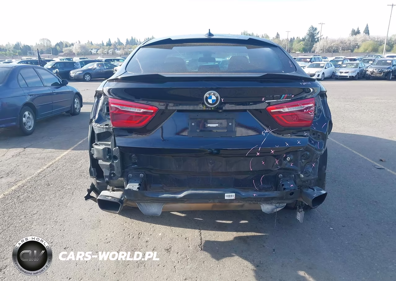 2017 BMW X6 xDrive50I VIN:5UXKU6C34H0W38414 - 6