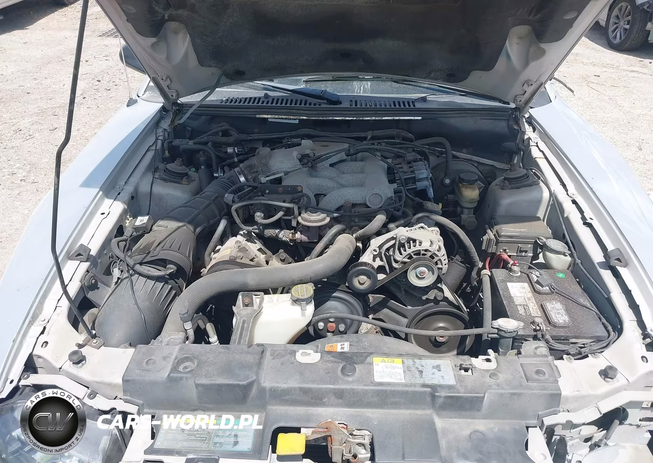 2004 Ford Mustang VIN:1FAFP446X4F229578 - 10