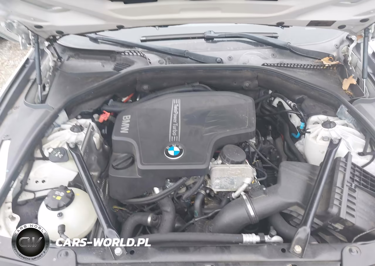 2015 BMW 528I xDrive VIN:WBA5A7C57FD625450 - 10