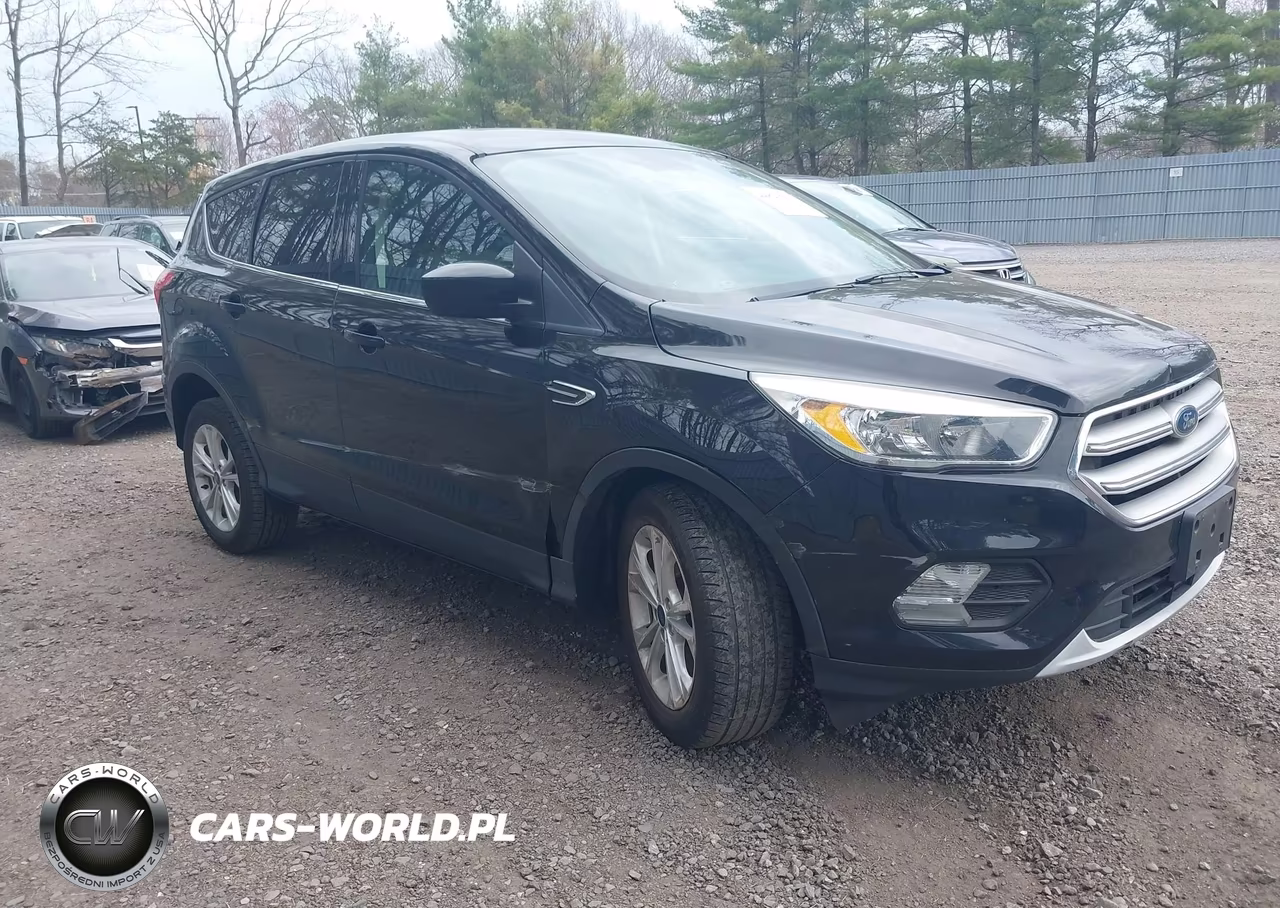 2019 Ford Escape Se