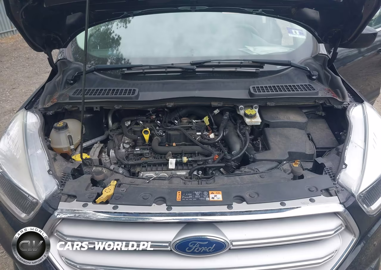 2019 Ford Escape Se VIN:1FMCU9GD4KUB91251 - 10