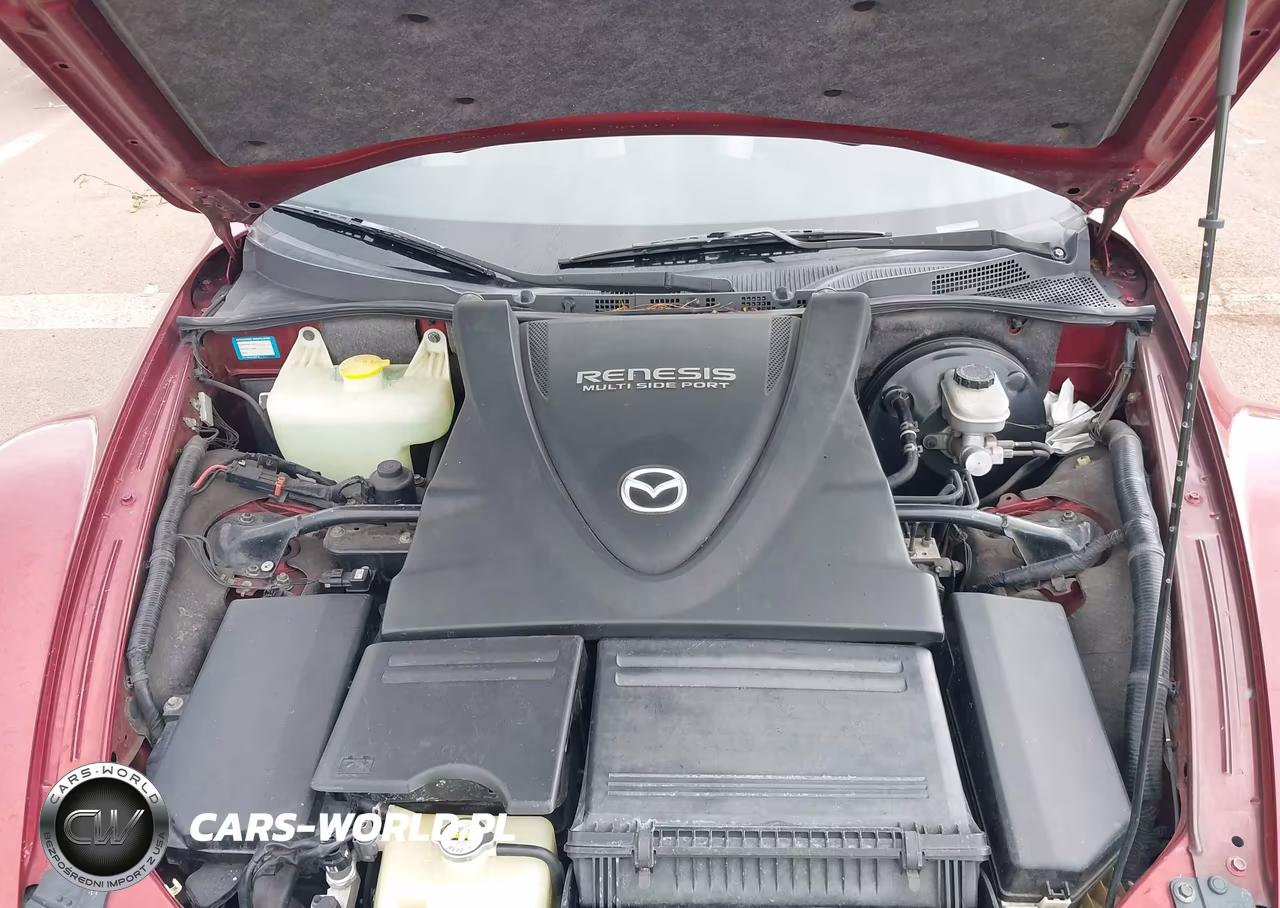2006 Mazda Rx-8 6-Speed Sport Automatic VIN:JM1FE173X60205402 - 10