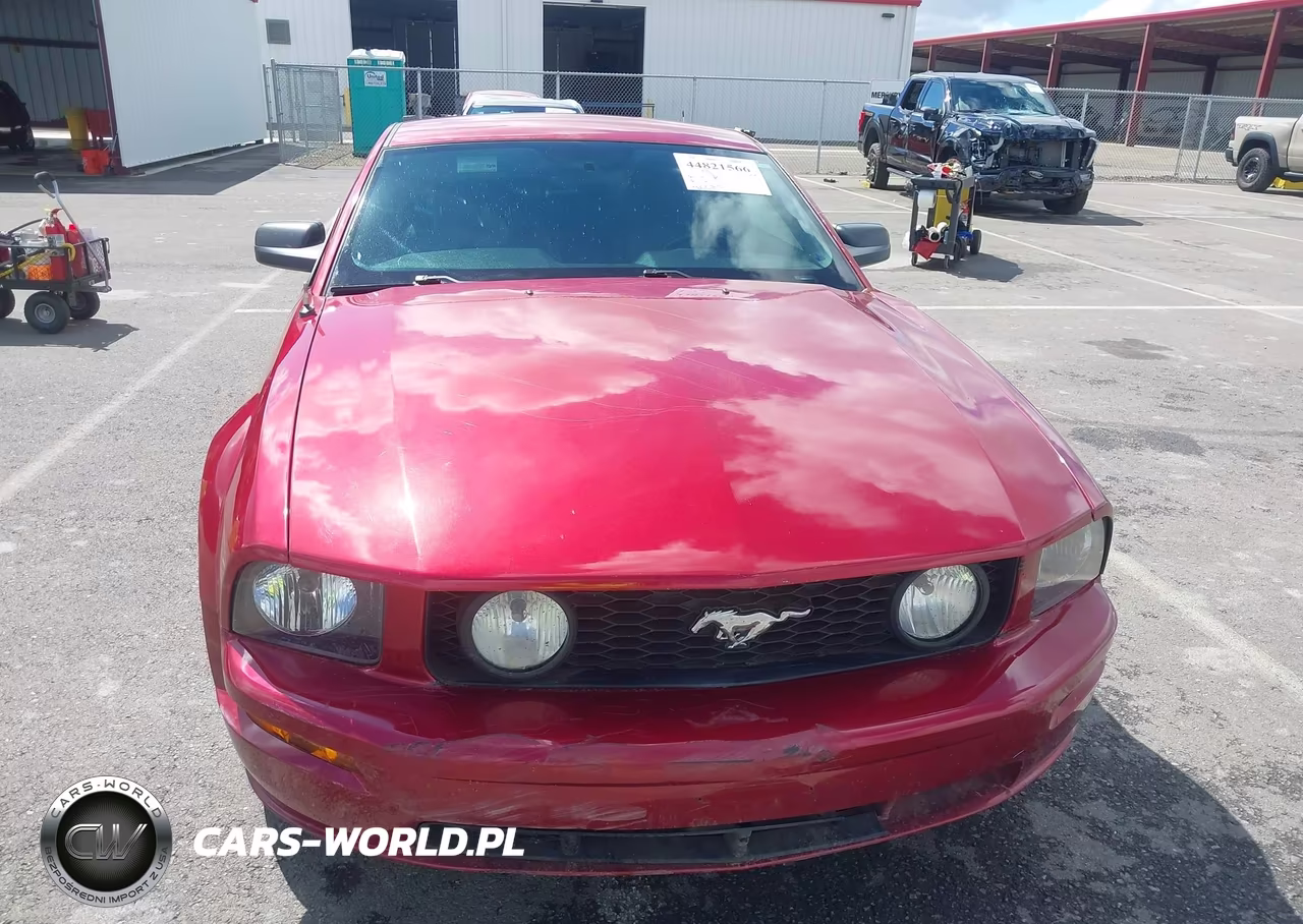 2006 Ford Mustang Gt VIN:1ZVHT82H365228451 - 12