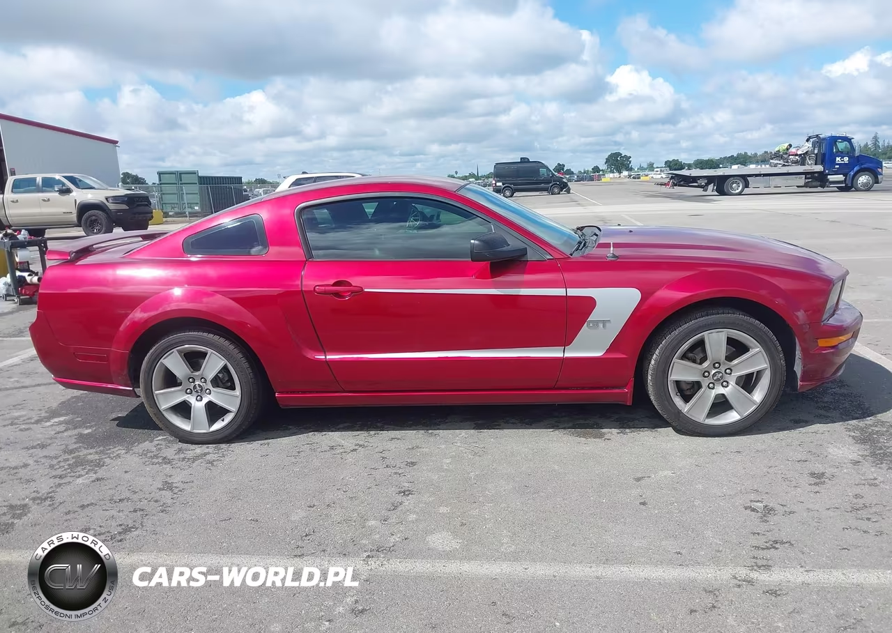 2006 Ford Mustang Gt VIN:1ZVHT82H365228451 - 13