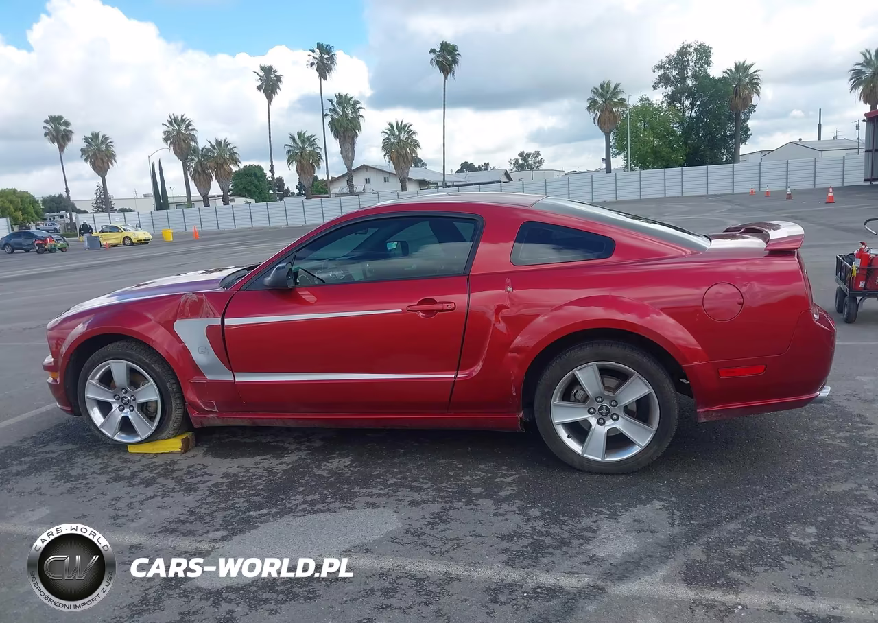 2006 Ford Mustang Gt VIN:1ZVHT82H365228451 - 14
