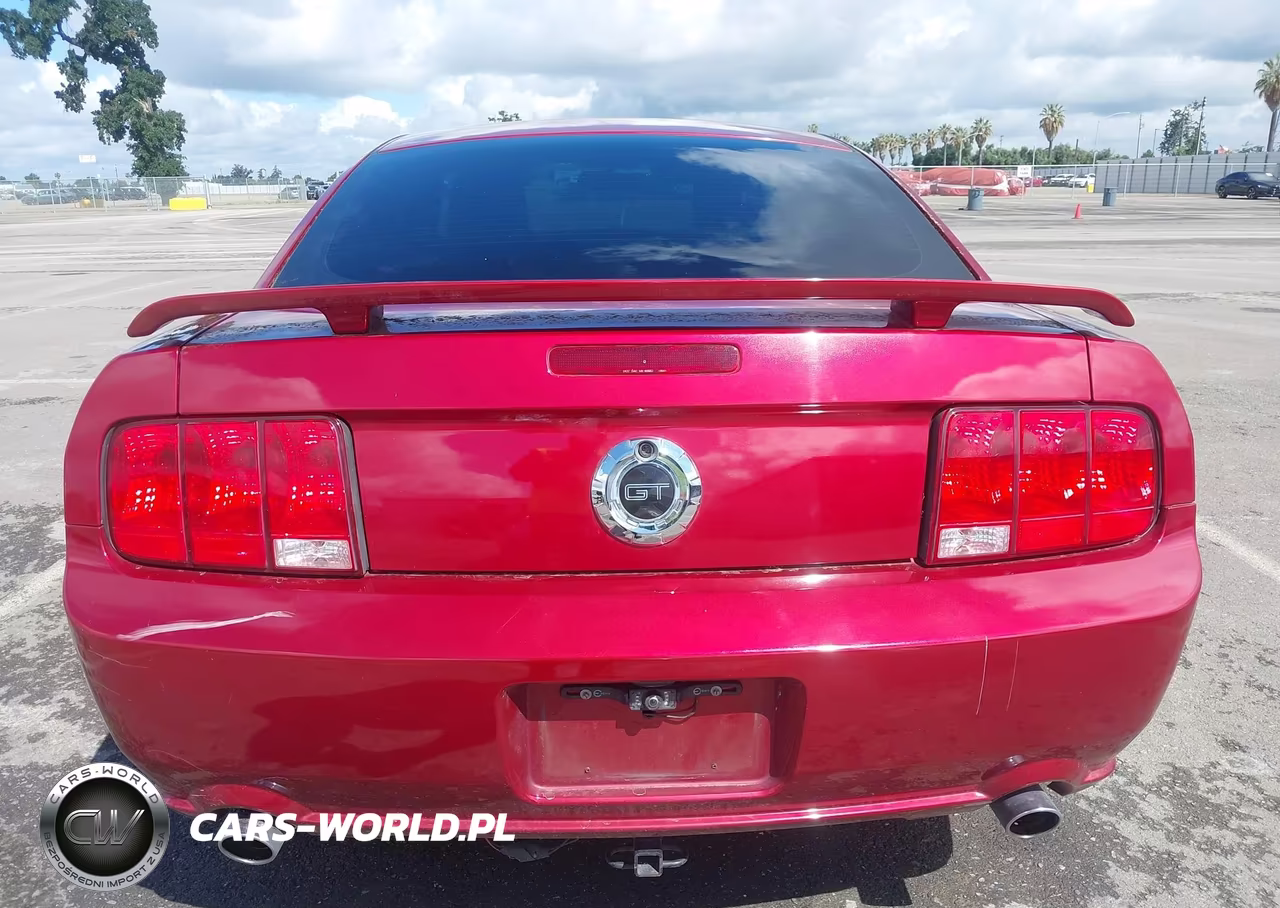 2006 Ford Mustang Gt VIN:1ZVHT82H365228451 - 16