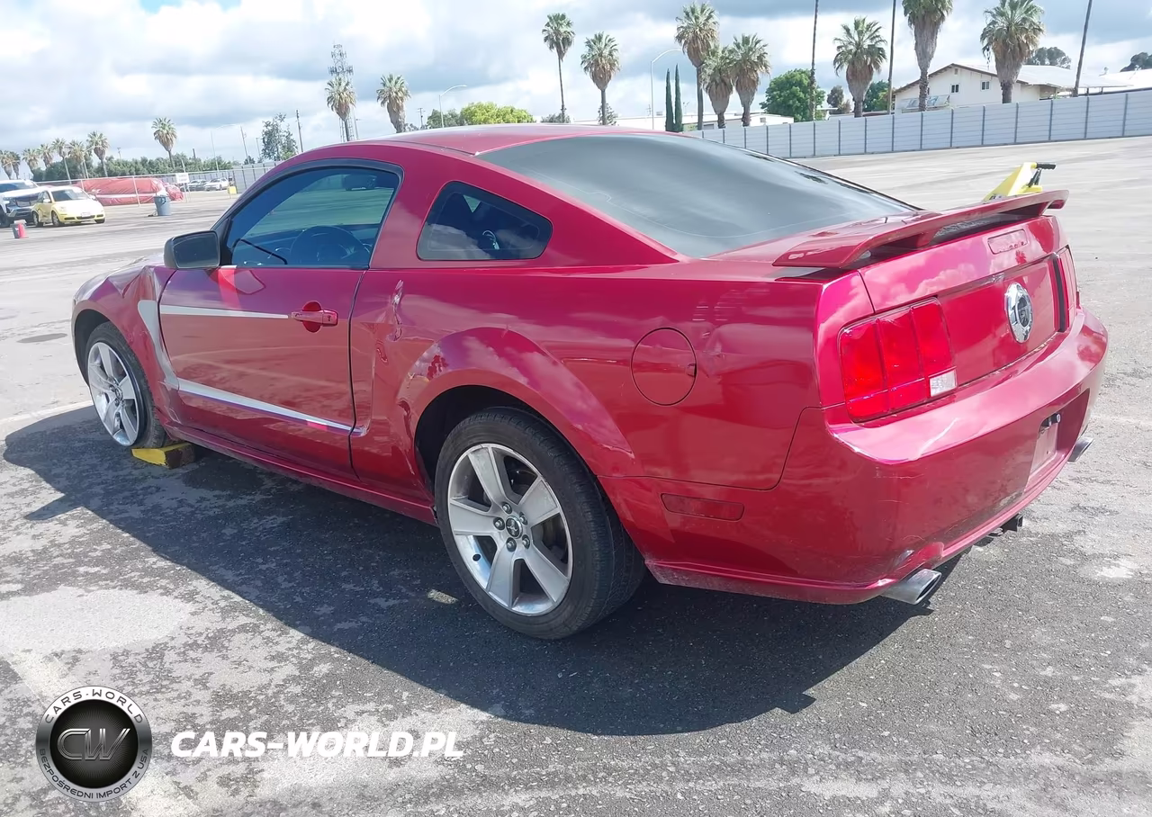 2006 Ford Mustang Gt VIN:1ZVHT82H365228451 - 3
