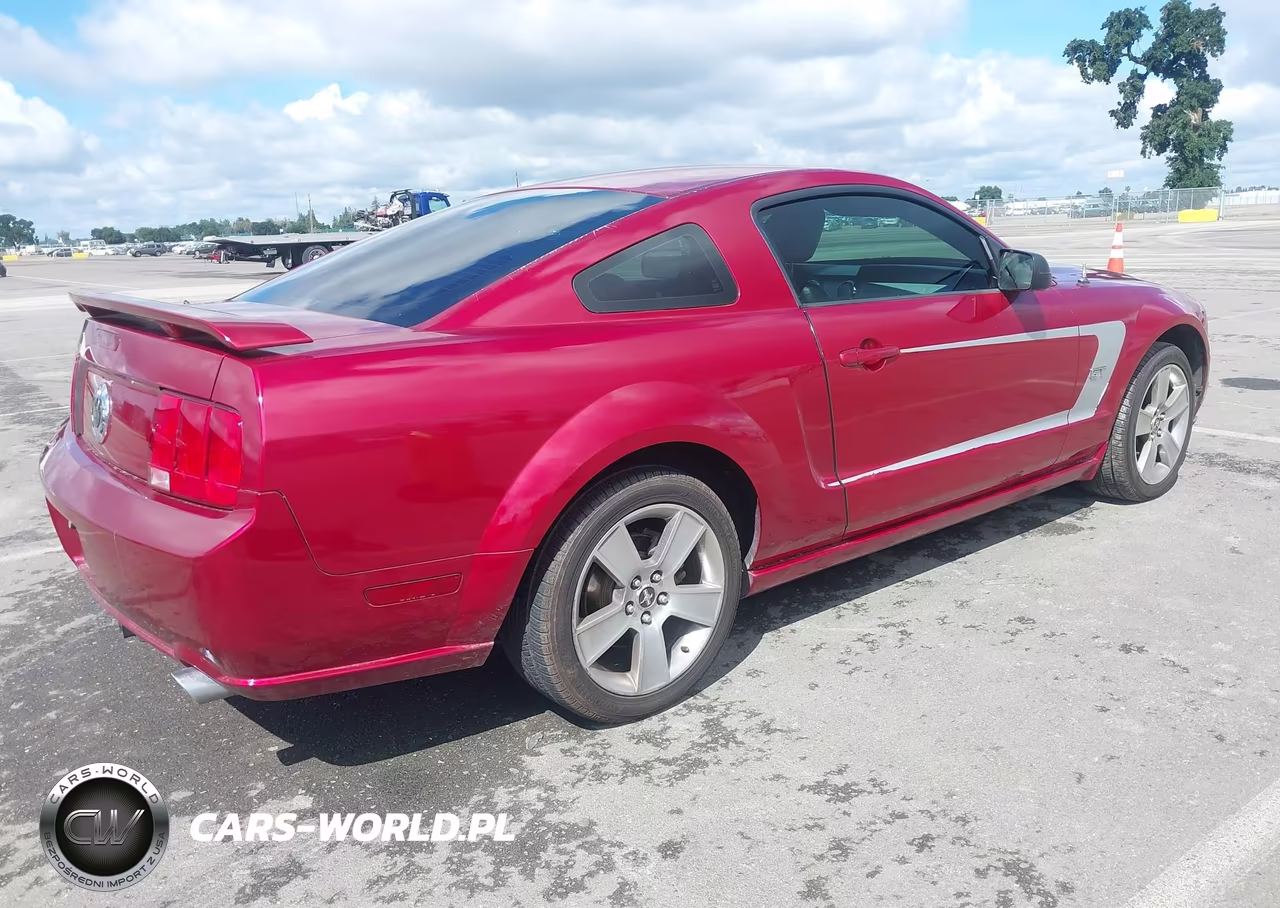 2006 Ford Mustang Gt VIN:1ZVHT82H365228451 - 4
