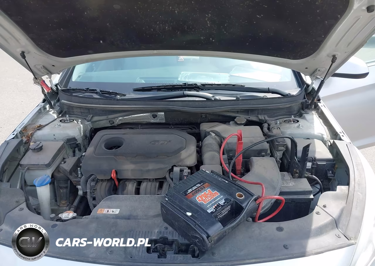 2015 Hyundai Sonata Se VIN:5NPE24AF8FH168023 - 10