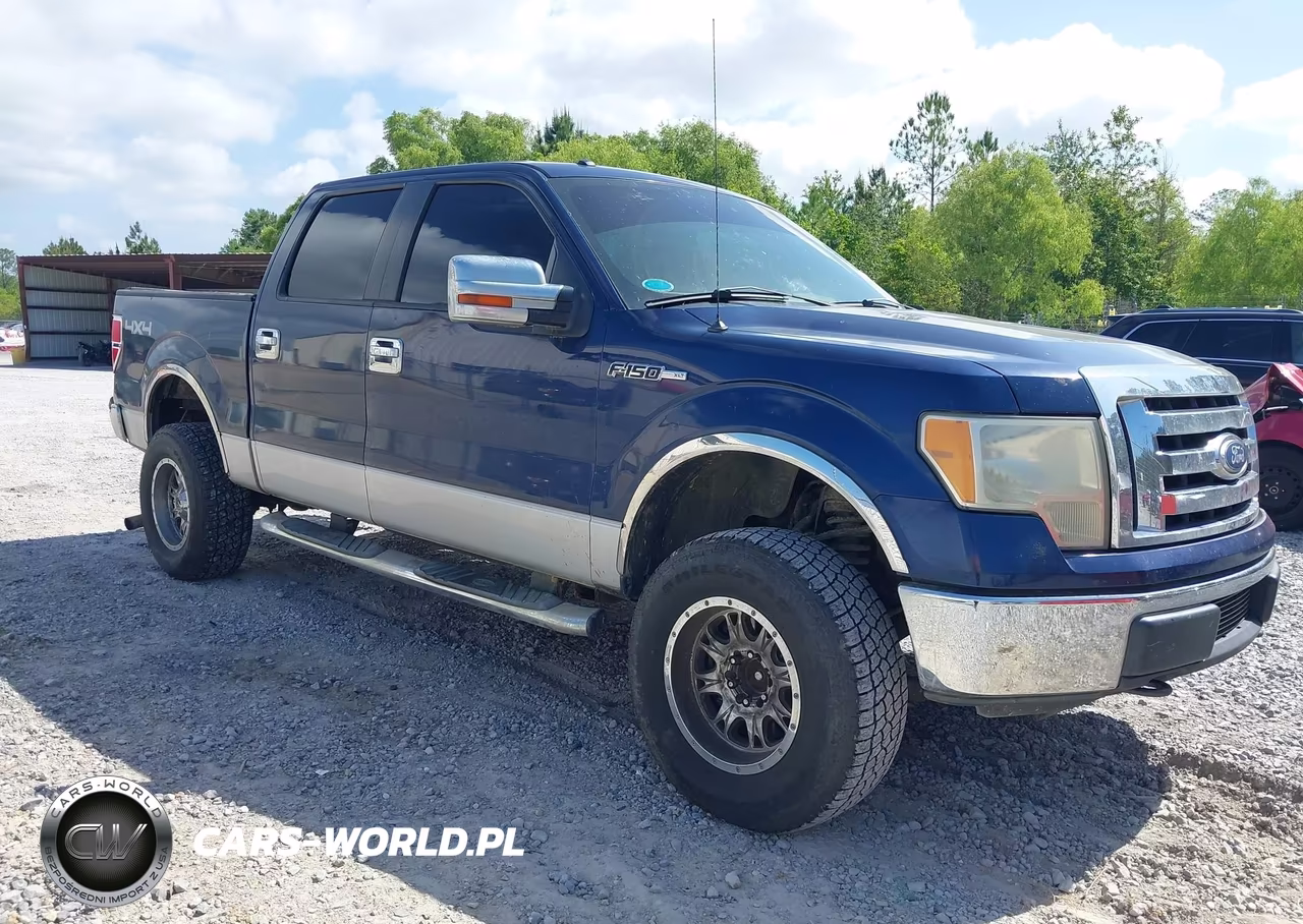 2010 Ford F-150 Fx4-Harley-Davidson-King Ranch-Lariat-Platinum-Xl-Xlt