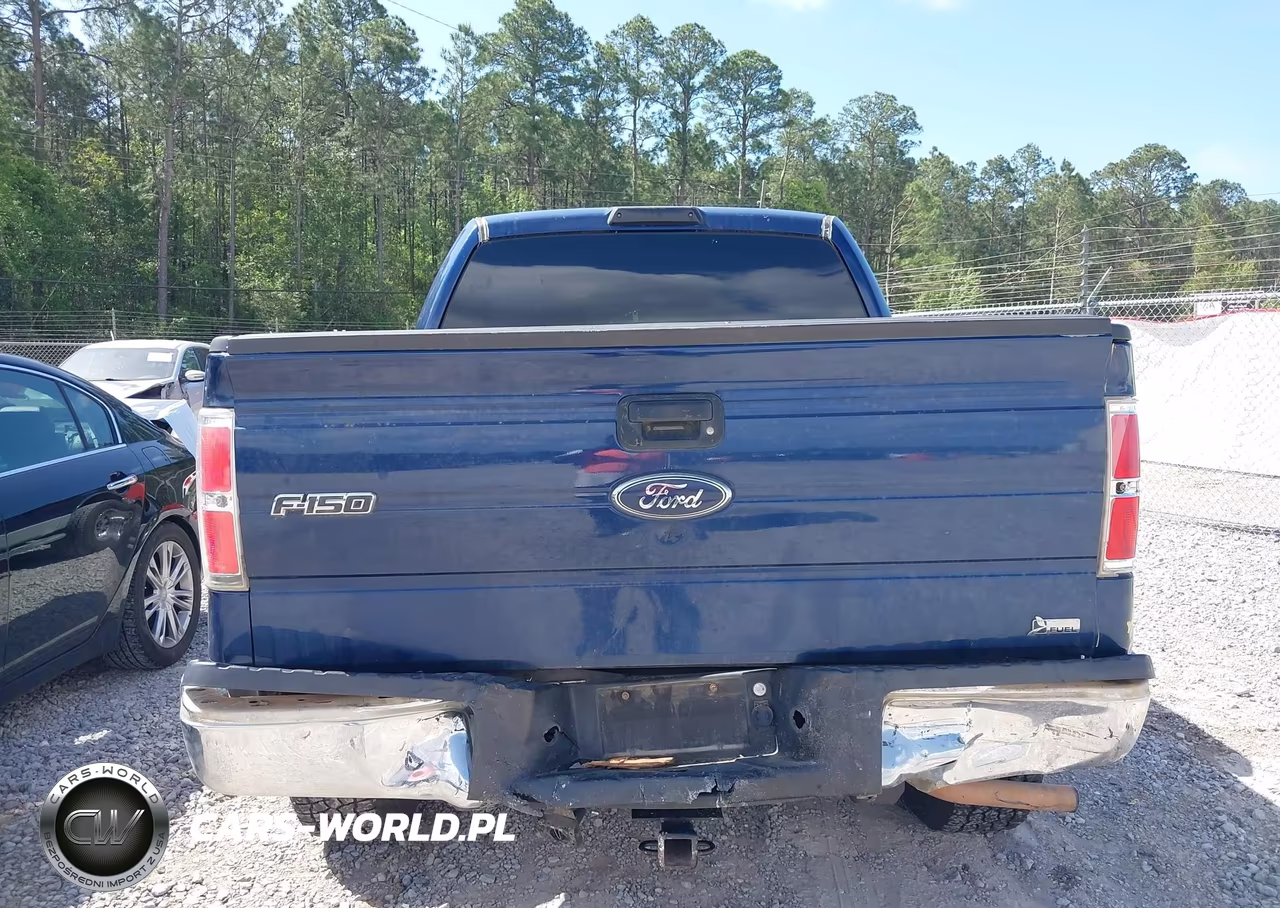 2010 Ford F-150 Fx4-Harley-Davidson-King Ranch-Lariat-Platinum-Xl-Xlt VIN:1FTFW1EV1AFD50156 - 16