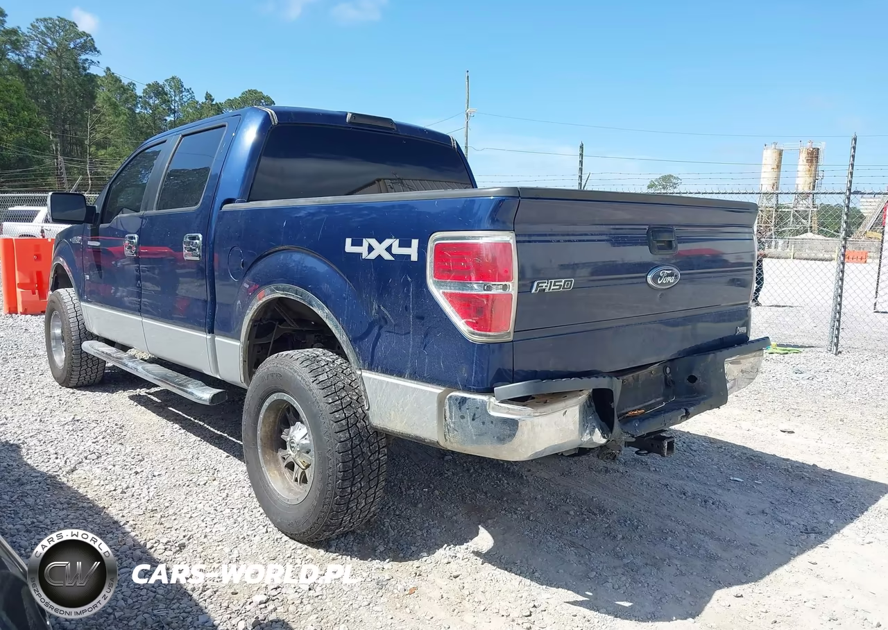 2010 Ford F-150 Fx4-Harley-Davidson-King Ranch-Lariat-Platinum-Xl-Xlt VIN:1FTFW1EV1AFD50156 - 3