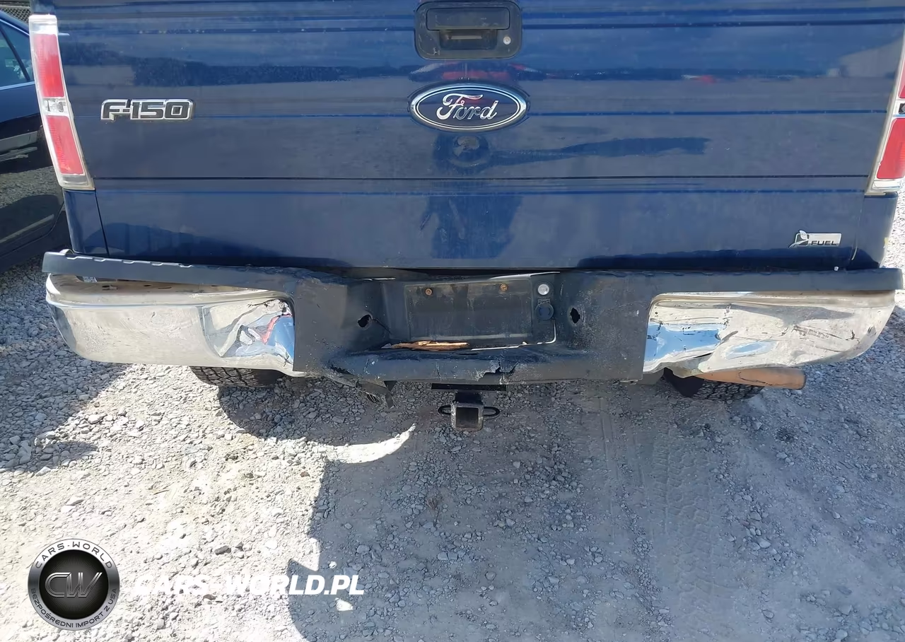 2010 Ford F-150 Fx4-Harley-Davidson-King Ranch-Lariat-Platinum-Xl-Xlt VIN:1FTFW1EV1AFD50156 - 6