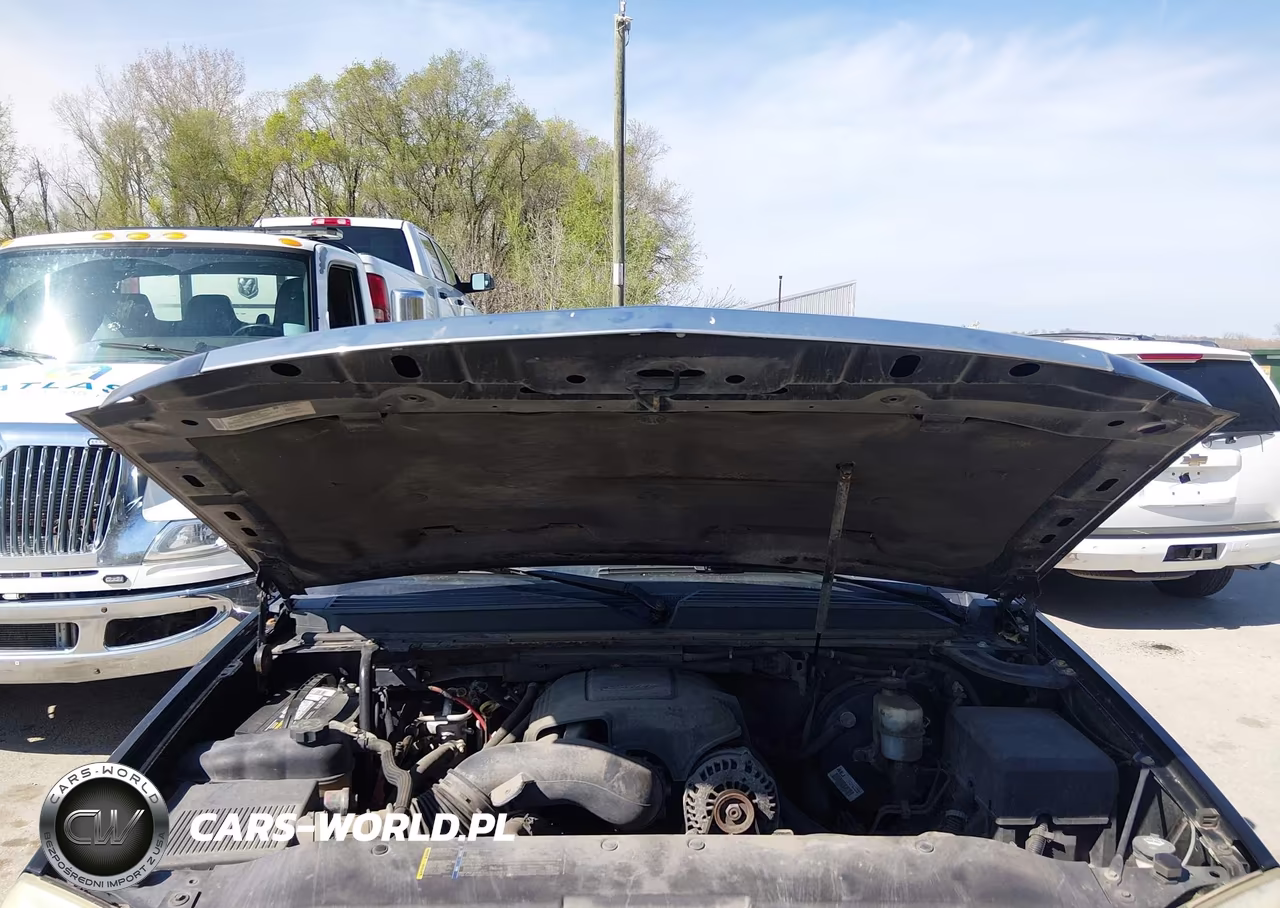 2007 Cadillac Escalade Esv Standard VIN:1GYFK66827R191246 - 10