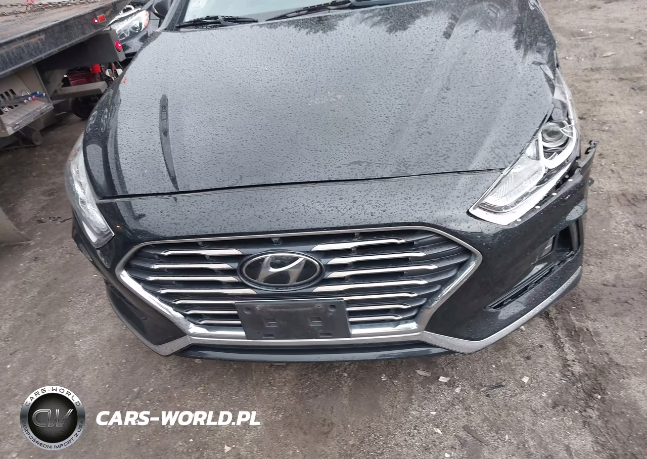 2018 Hyundai Sonata Se VIN:5NPE24AF9JH681502 - 12