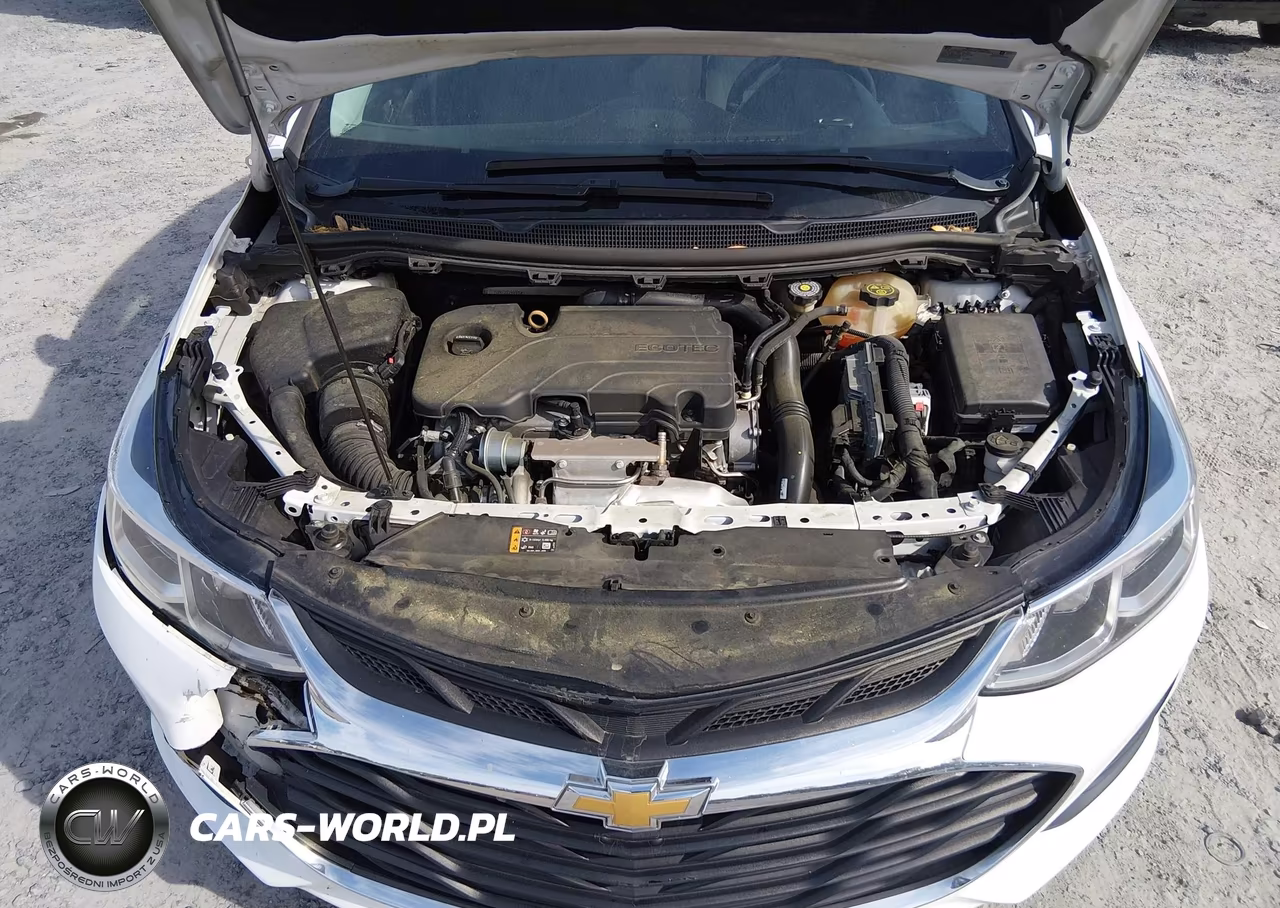 2019 Chevrolet Cruze Ls VIN:3G1BC6SMXKS601021 - 10