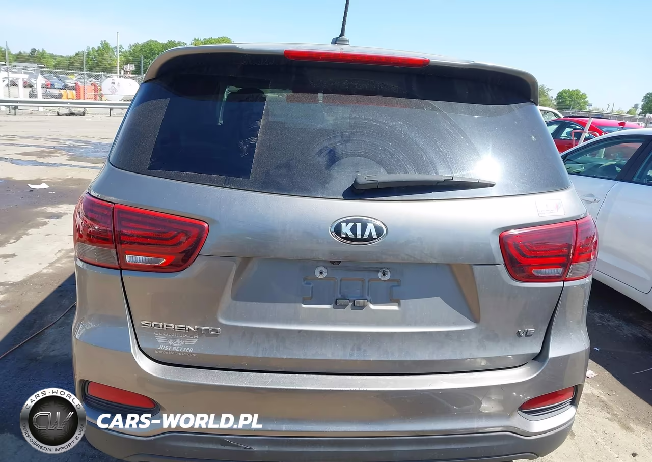 2019 Kia Sorento 3.3L Lx VIN:5XYPG4A55KG490248 - 17