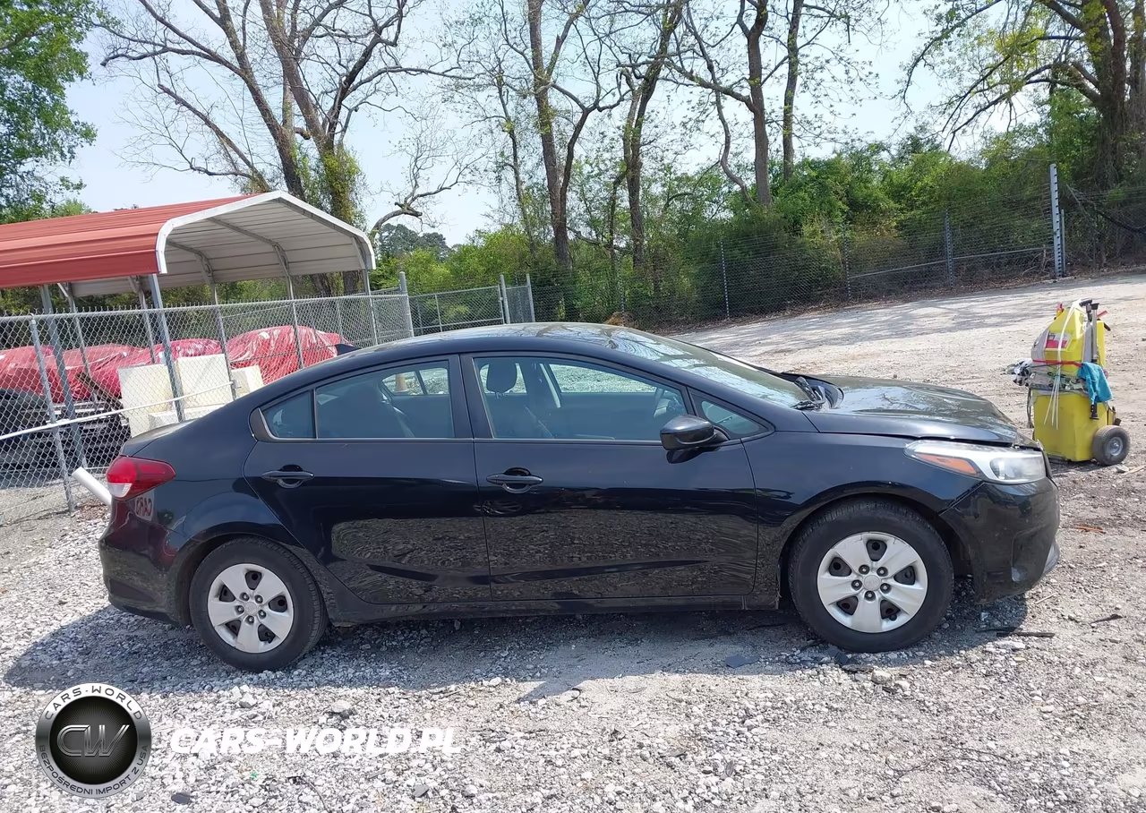 2017 Kia Forte Lx VIN:3KPFK4A75HE055084 - 13