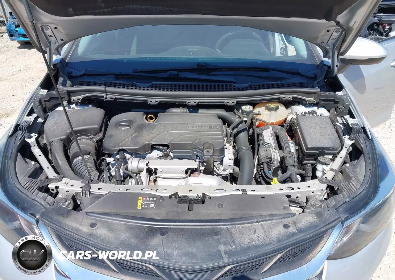 2019 Chevrolet Cruze Lt VIN:1G1BE5SM5K7145027 - 10