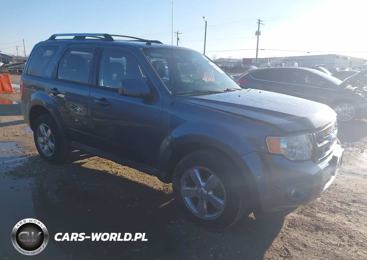 2010 Ford Escape Limited