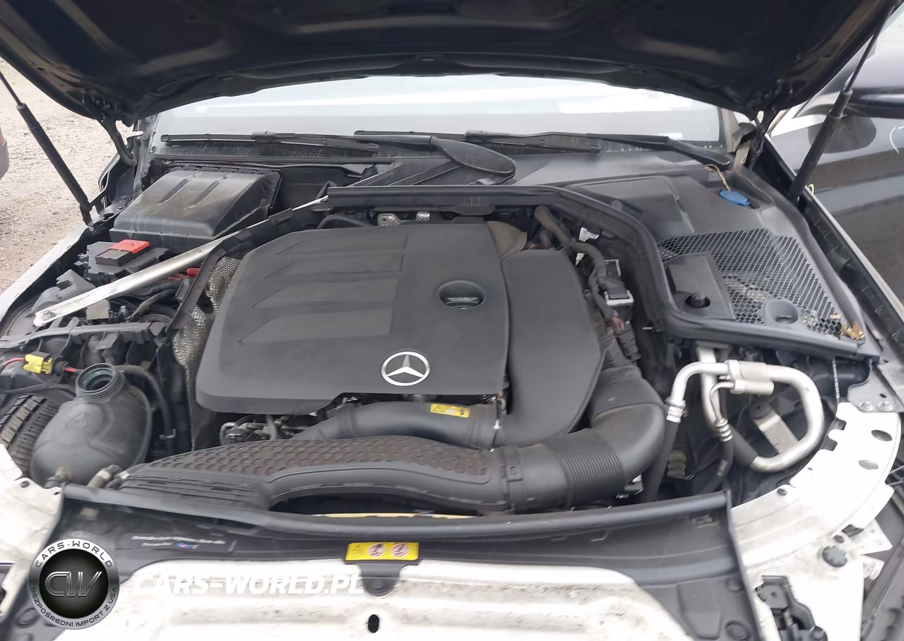 2019 Mercedes-Benz C 300 4Matic VIN:55SWF8EB8KU317271 - 10