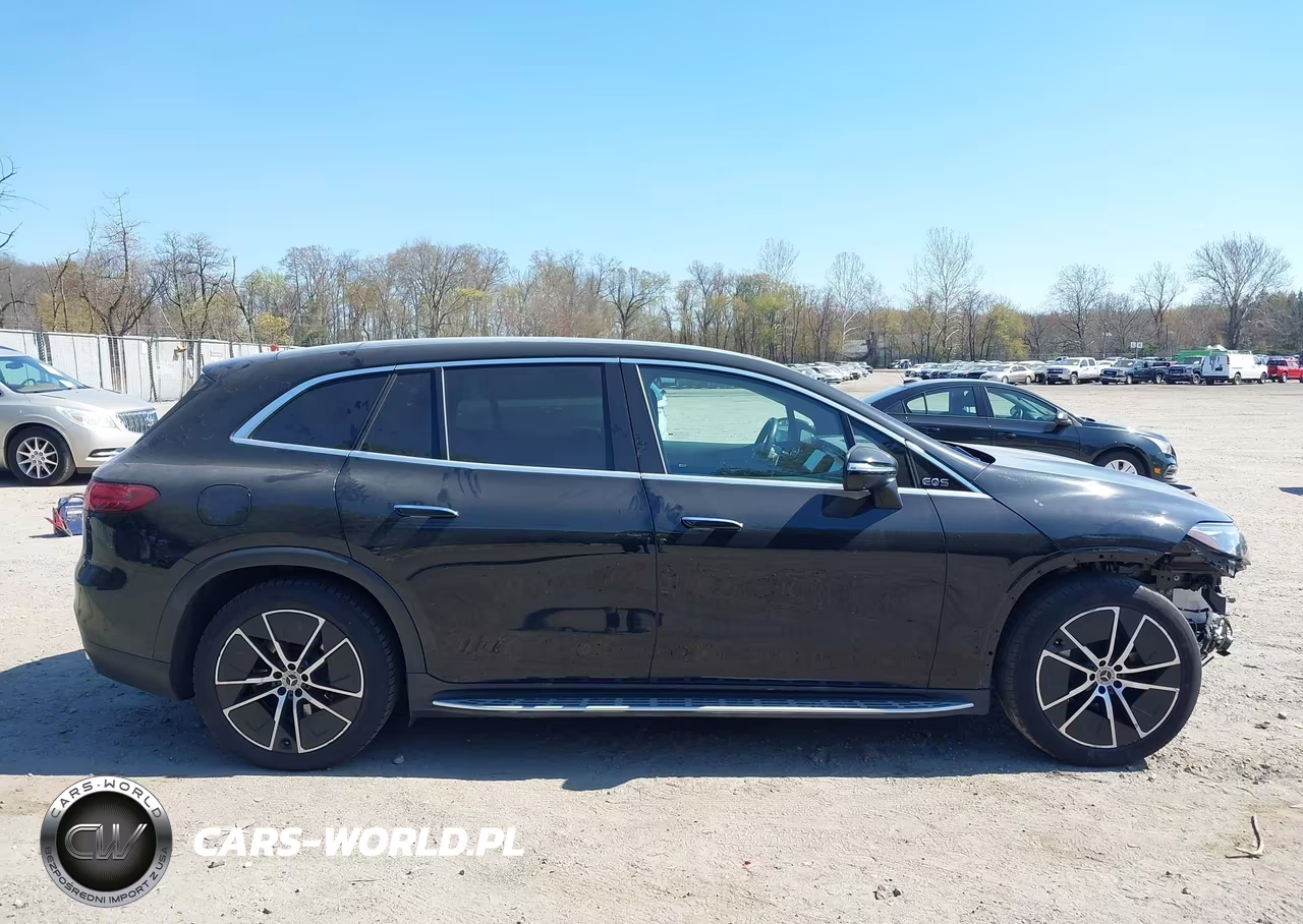 2023 Mercedes-Benz Eqs 450+ Suv VIN:4JGDM2DB3PA010695 - 14