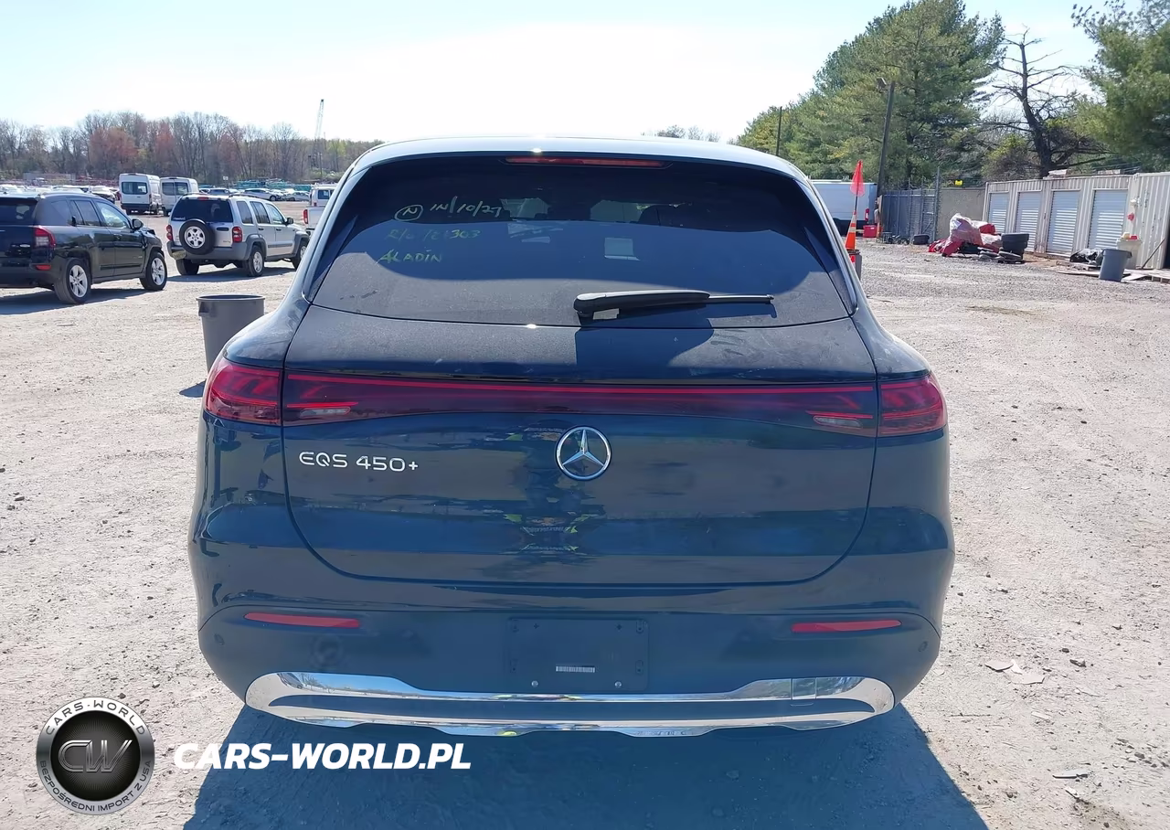 2023 Mercedes-Benz Eqs 450+ Suv VIN:4JGDM2DB3PA010695 - 17
