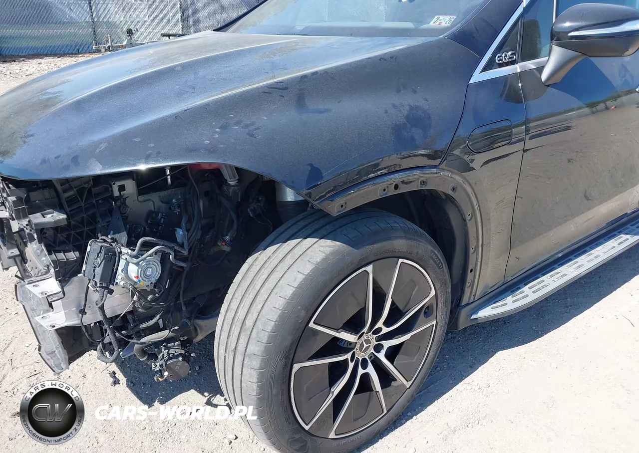 2023 Mercedes-Benz Eqs 450+ Suv VIN:4JGDM2DB3PA010695 - 20